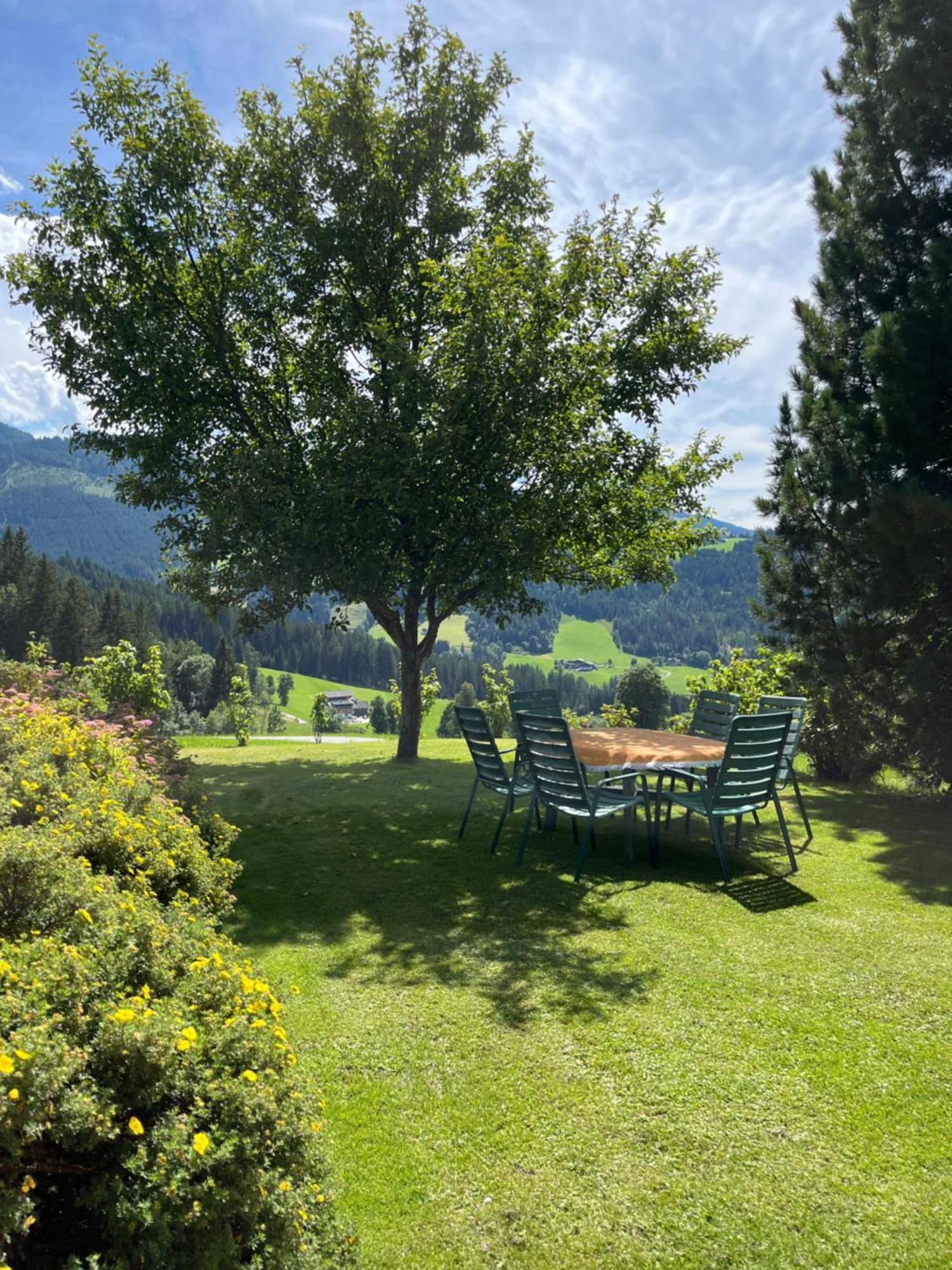 Appartement Hornergut à Altenmarkt im Pongau Extérieur photo