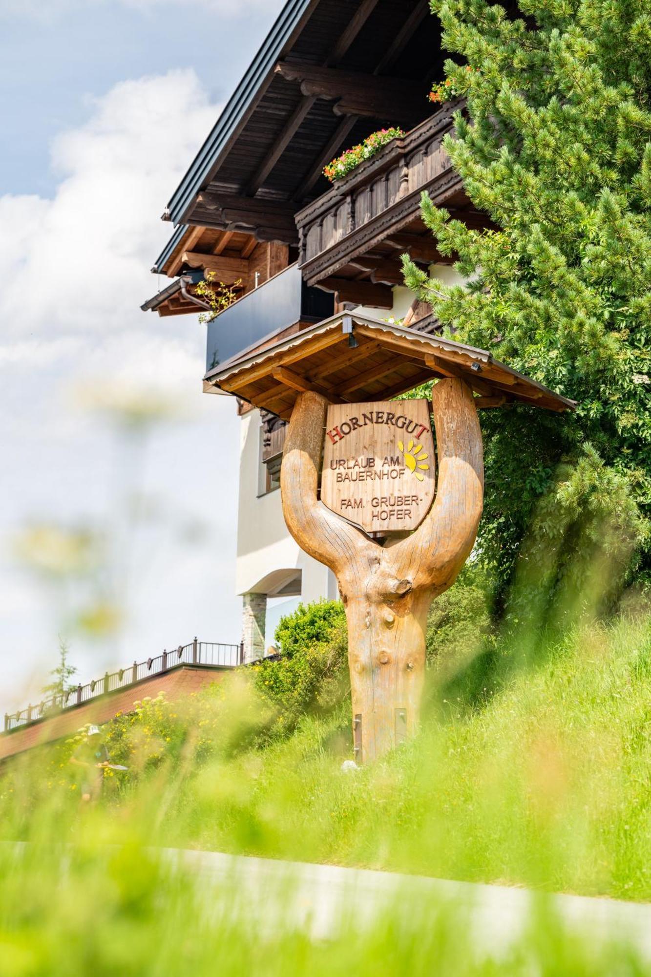 Appartement Hornergut à Altenmarkt im Pongau Extérieur photo
