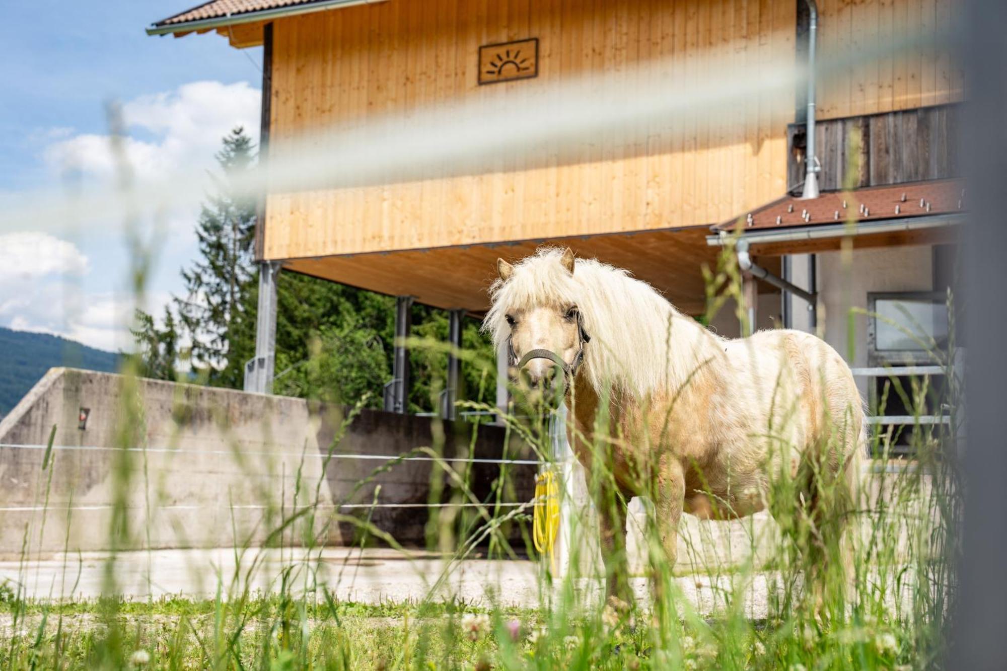 Appartement Hornergut à Altenmarkt im Pongau Extérieur photo
