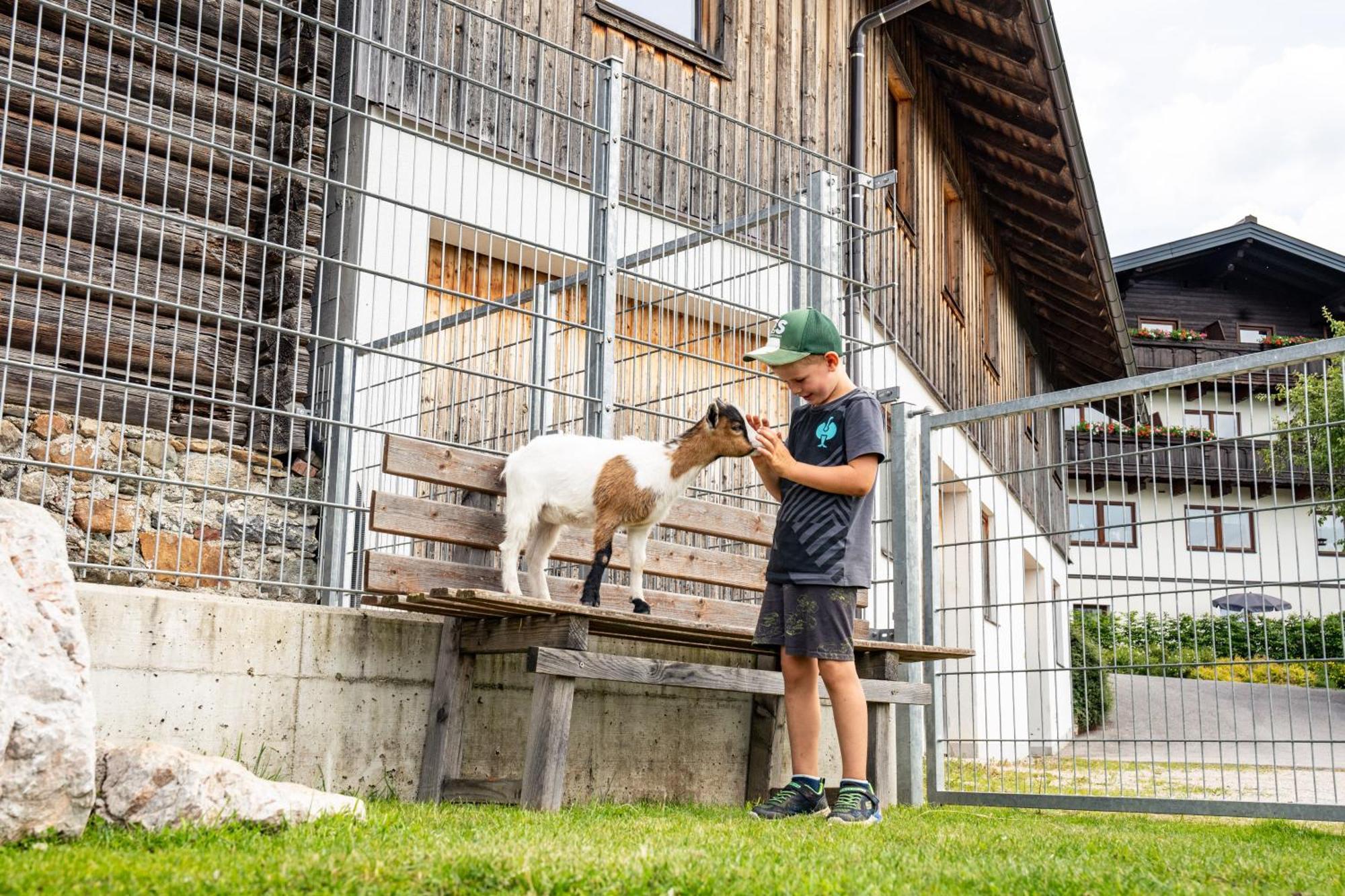Appartement Hornergut à Altenmarkt im Pongau Extérieur photo