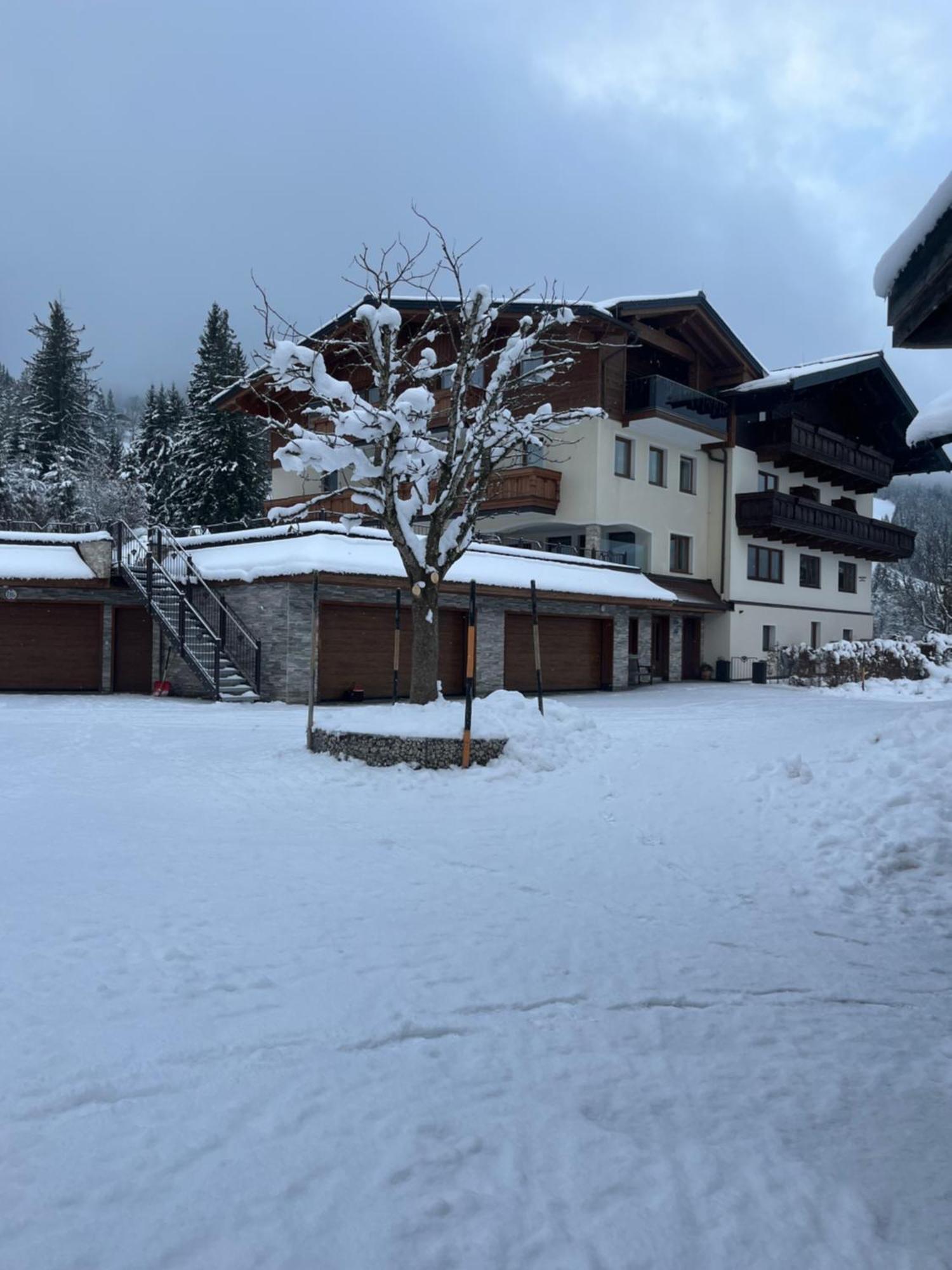 Appartement Hornergut à Altenmarkt im Pongau Extérieur photo