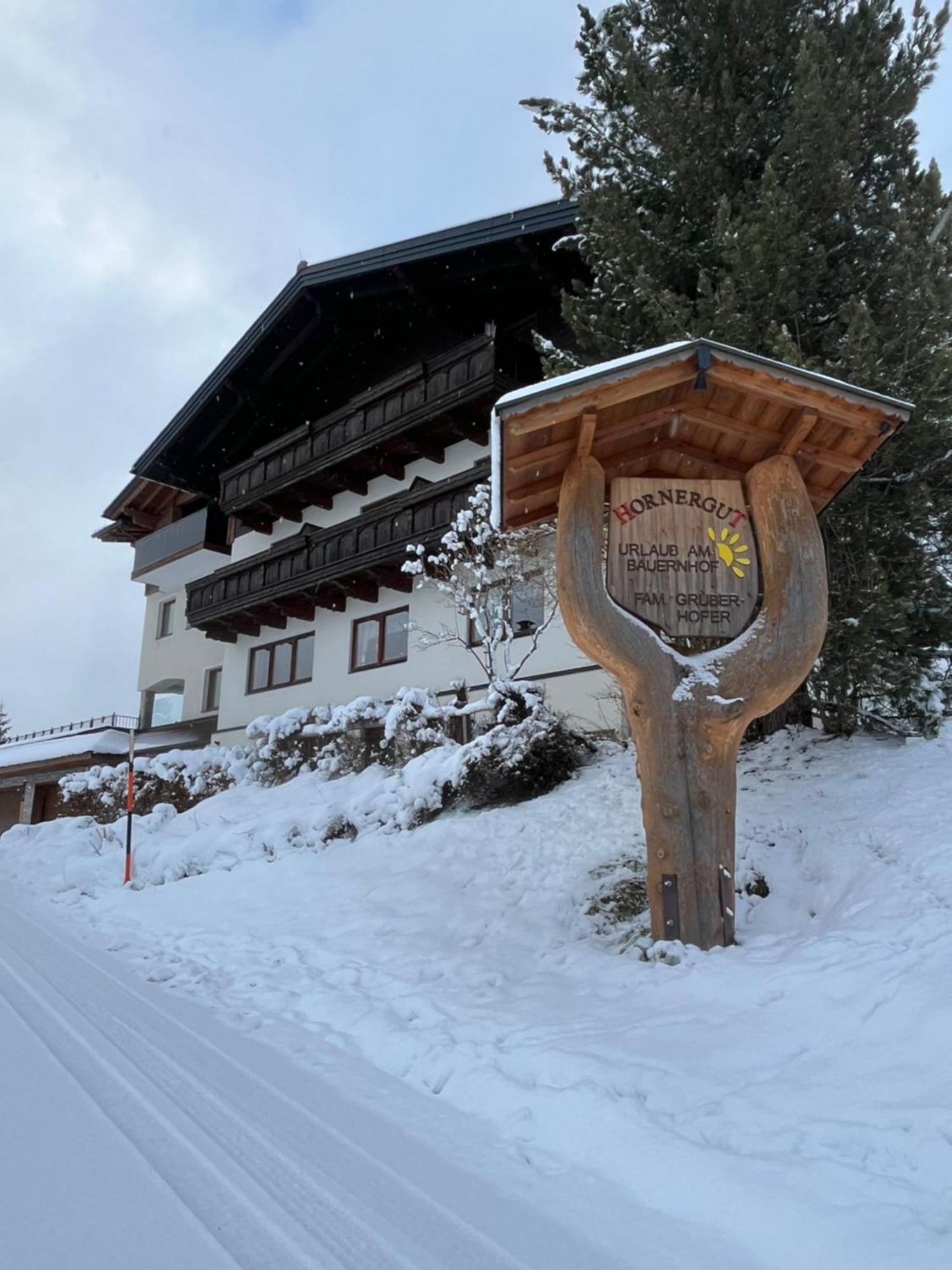 Appartement Hornergut à Altenmarkt im Pongau Extérieur photo